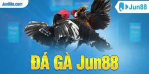 Đá gà Jun88